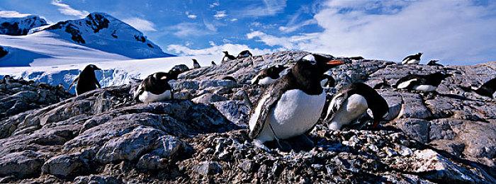 《使命召唤：战区》昨日一天封禁了10万账号 