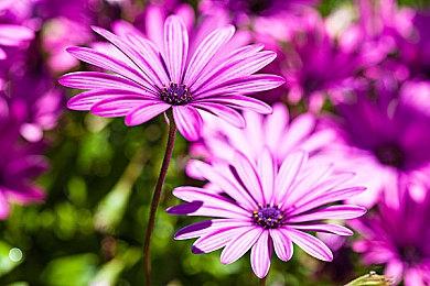 《解放者:增强版》发布新预告 4月20日登陆主机平台